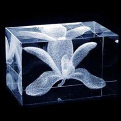 3D лазерная гравировка в стекле